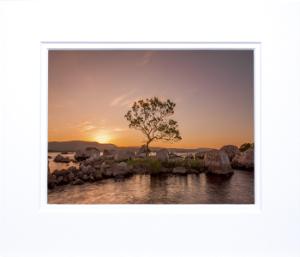 Thumbnail for 700x600 - Petersburg clonbur sunset tree.jpg 1