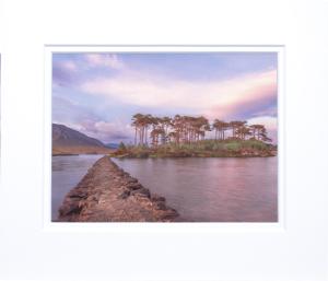 Thumbnail for 700x600 - Pine island sun set.jpg 1